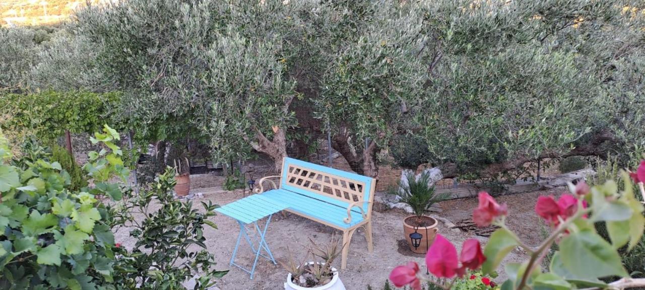 Arhondia House Villa Ierápetra Екстериор снимка