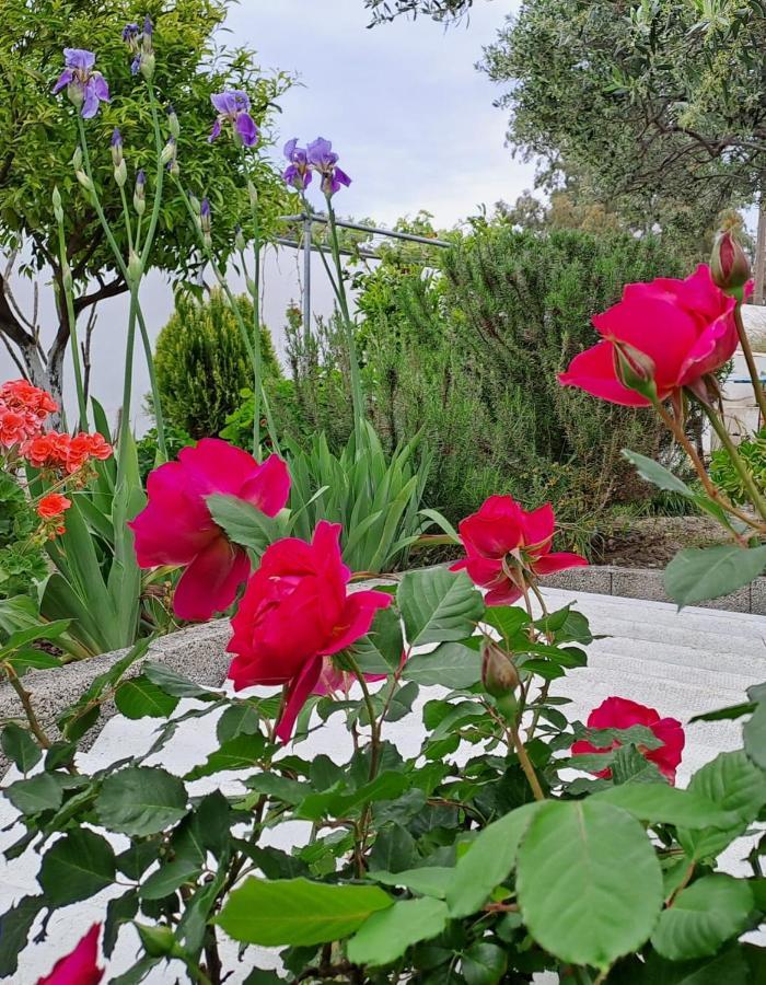 Arhondia House Villa Ierápetra Екстериор снимка