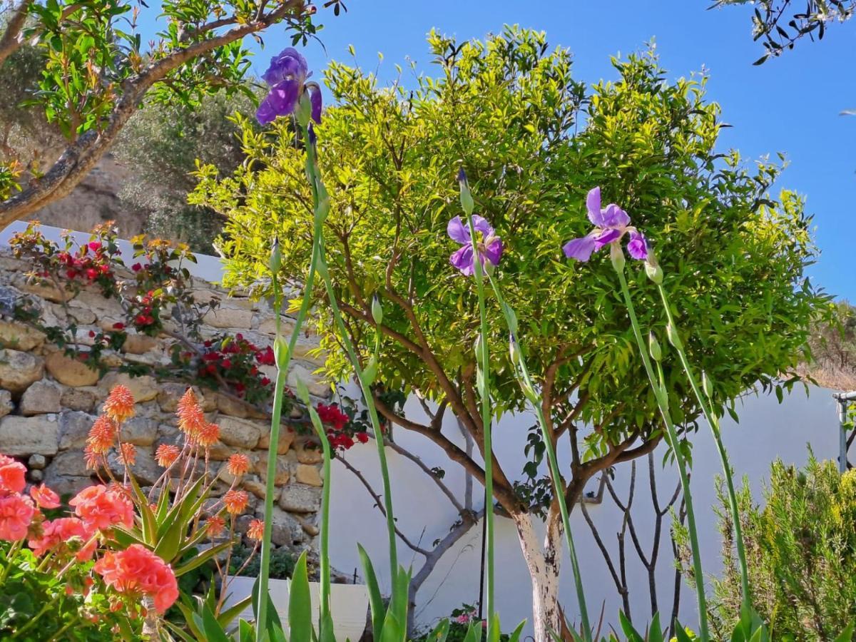 Arhondia House Villa Ierápetra Екстериор снимка